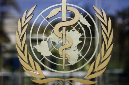 На сайте ВОЗ размещены способы и рекомендации суицида