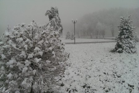 В Шахдаге выпал снег