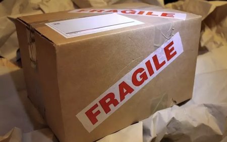 Украинские посольства в Европе получили посылки с глазами животных 