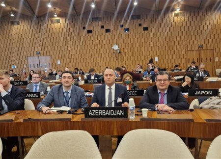 Азербайджан избран заместителем председателя комитета ЮНЕСКО