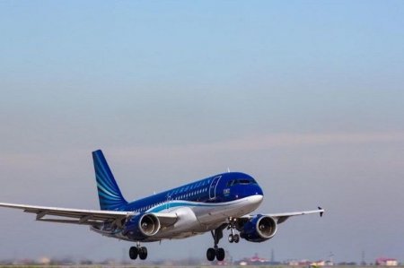 Самолет, выполнявший рейс Баку - Ташкент, вынужденно сел в Самарканде