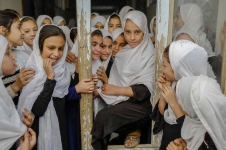 Талибы запретили женщинам получать высшее образование