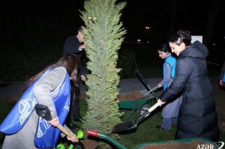 По инициативе Лейлы Алиевой в Баку стартовал проект по регистрации и нумерации деревьев