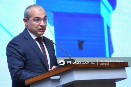 Микаил Джаббаров: День солидарности азербайджанцев мира олицетворяет наше национальное единство