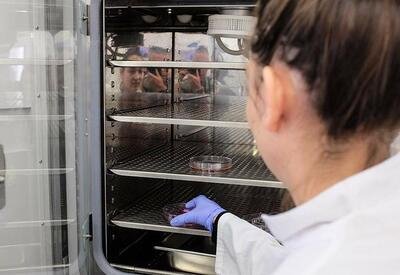 Билл Гейтс предсказал «супербезопасное» ядерное оружие и вкусное искусственное мясо