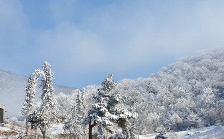 В Шуше и Лачине ожидается снег