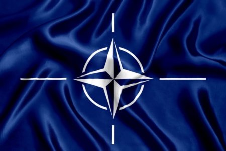 Турция пока против вступления Швеции в НАТО