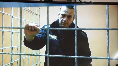 Российские адвокаты написали открытое письмо Путину