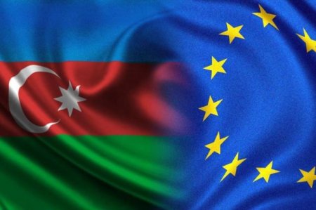Прошло 22 года со дня принятия Азербайджана в Совет Европы