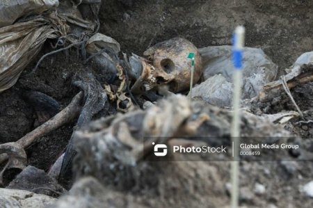 Мужчину, останки которого найдены в Габалинском районе, растерзали дикие животные