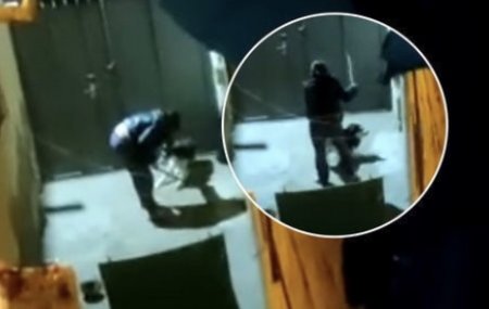 В Баку оштрафовали женщину, которая регулярно избивала свою собаку 