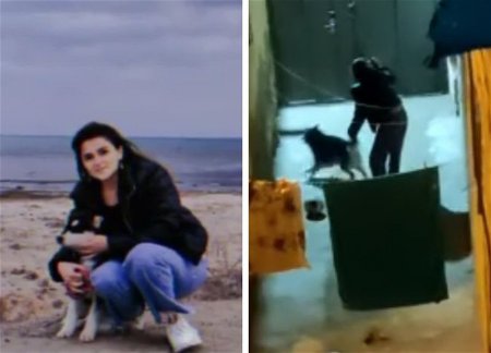 Раскрыта личность женщины, жестоко избивавшей свою собаку в поселке Баладжары – ФОТО