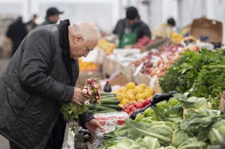 В Баку пройдут ярмарки "Из села в город"