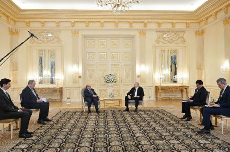 Президент Ильхам Алиев принял гендиректора Международной организации по миграции - ФОТО