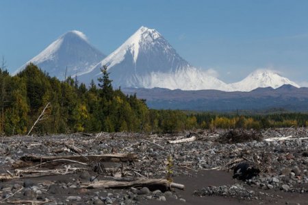 На Камчатке зафиксировали сильное землетрясение