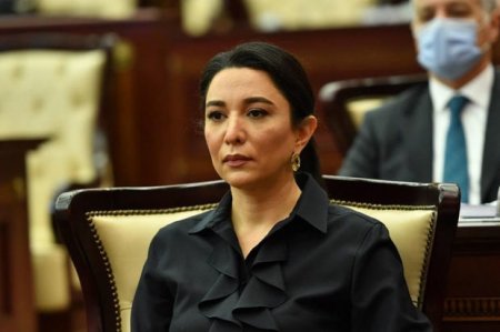 Омбудсмен: Армения продолжает загрязнять наши освобожденные земли минами