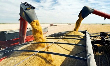 Венгрия вводит пошлины на украинское зерно