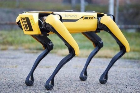 Полицейские Нью-Йорка начали патрулировать улицы с робопсами