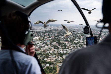 В России пассажирский самолет столкнулся с птицами