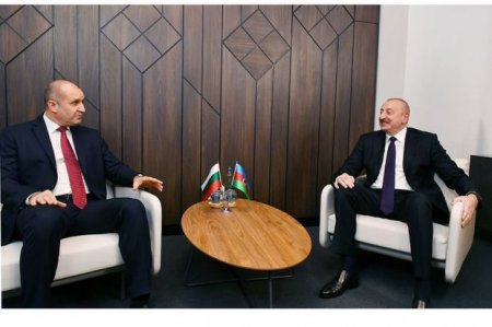 Состоялась встреча президентов Азербайджана и Болгарии один на один