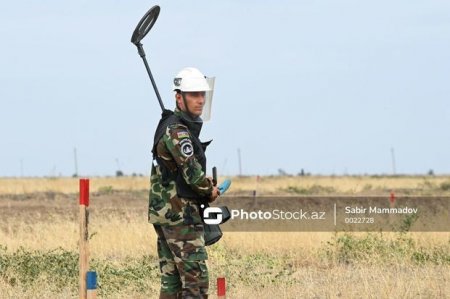 В Азербайджане учреждается медаль "За заслуги в области разминирования"