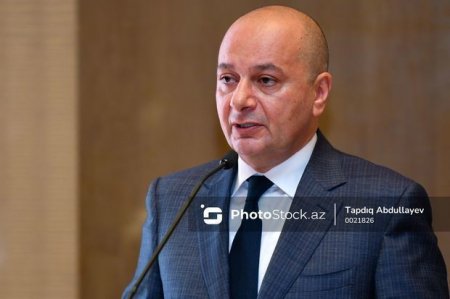 Глава госагентства: В Азербайджане от мин очищено 77 890 га территории
