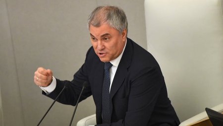Володин: депутаты потребуют применения оружия, которое уничтожит киевский режим