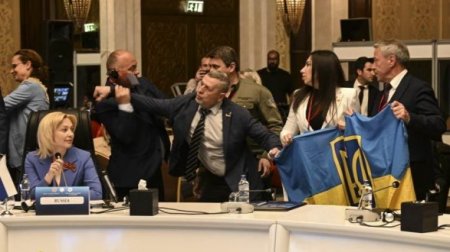 Украинцы и русские устроили потасовку на заседании ПАЧЭС 