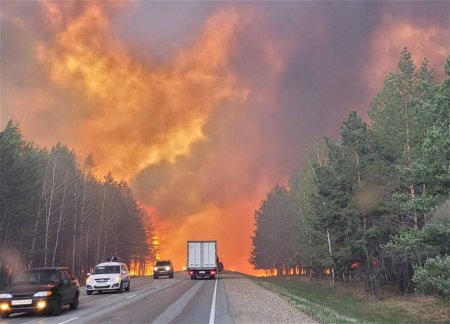 Число погибших при пожарах в России достигло шести