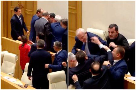 Депутаты парламента Грузии устроили потасовку из-за авиасообщения с Россией