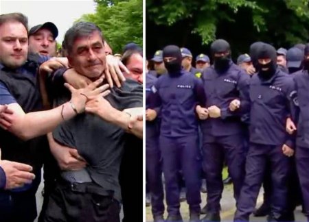 В Грузии задержаны 16 человек, протестующие против приезда дочери Лаврова