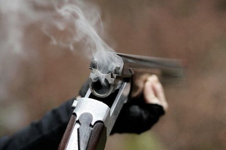 В МВД прокомментировали факт стрельбы по сотрудникам министерства