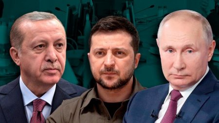 Hurriyet: Путин и Зеленский приедут к Эрдогану в Турцию после инаугурации