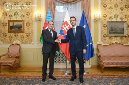 Глава МИД Азербайджана встретился с премьер-министром Словакии
