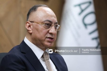 Гошгар Техмезли: Получены разрешения на экспорт лягушачьих лапок и улиток в Евросоюз
