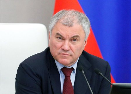 Володин рекомендовал согражданам вернуться: Завтра такой возможности может не быть