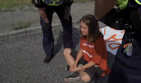 Полиция шведского Мальмё задержала Грету Тунберг