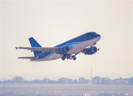 После улучшения погодных условий в Нахчыване AZAL выполнил 4 ранее отложенных рейса