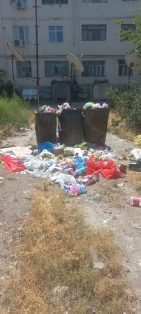 В Сабирабадском районе оштрафованы лица за несоблюдение требований по охране окружающей среды - ФОТО