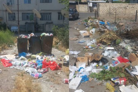 В Сабирабадском районе оштрафованы лица за несоблюдение требований по охране окружающей среды - ФОТО