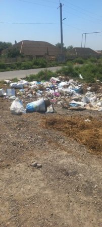 В Сабирабадском районе оштрафованы лица за несоблюдение требований по охране окружающей среды - ФОТО