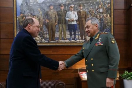 Глава Минобороны Британии рассказал о тайной шутке над Шойгу