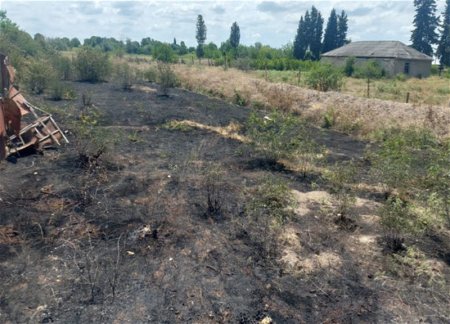 В Агсуинском районе выявлен факт поджога
