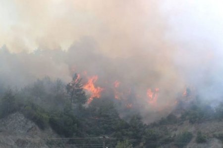 В Турции лесные пожары подступили к жилым массивам: началась эвакуация 