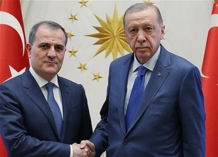 Президент Эрдоган принял главу МИД Азербайджана