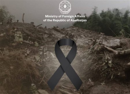 МИД Азербайджана выразил соболезнования Грузии