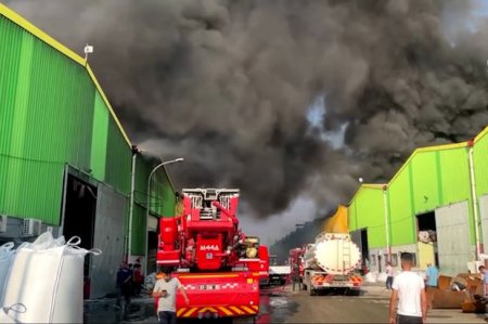 В турецкой Адане на двух заводах произошел сильный пожар