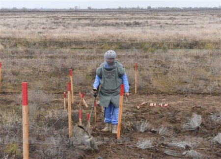 Азербайджан займется подготовкой украинских саперов