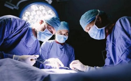 В ОМС включены трансплантация печени, почек, костного мозга или гемопоэтических стволовых клеток