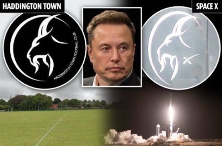 Маска обвинили в краже придуманного в XII веке логотипа футбольного клуба - ФОТО